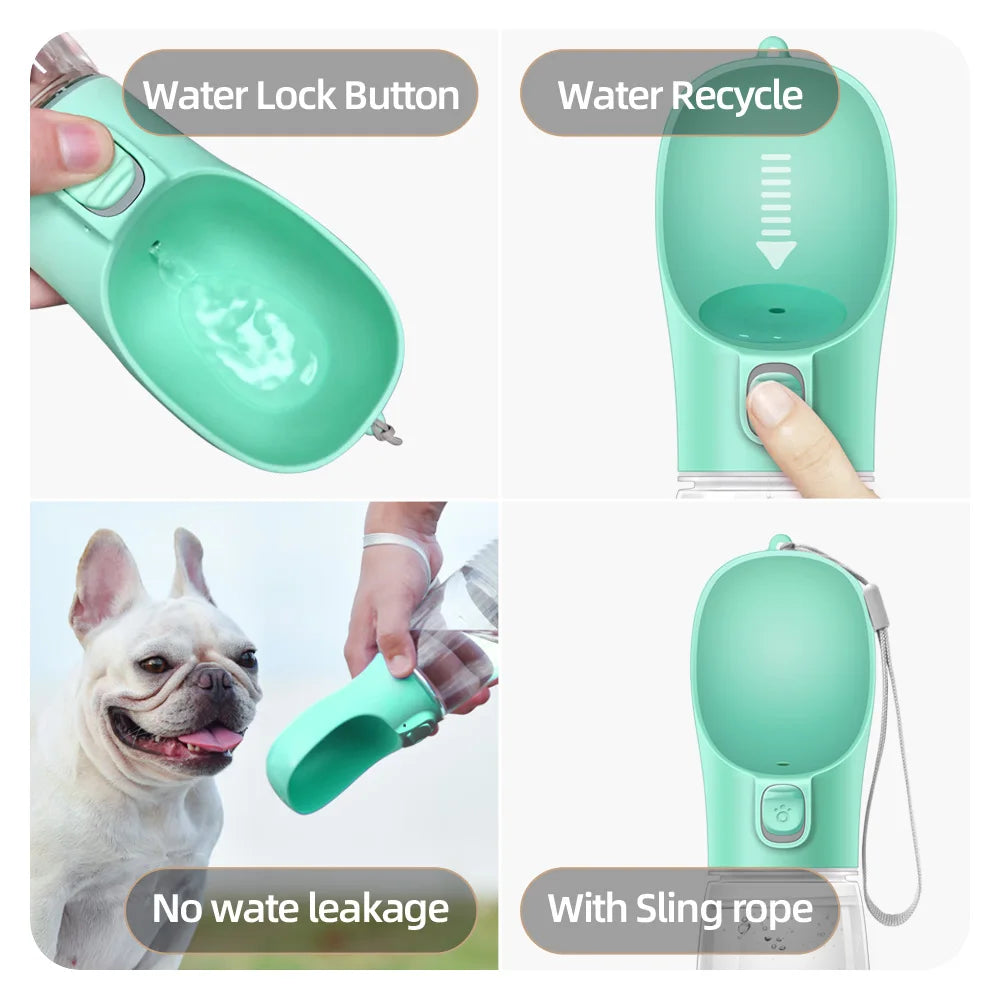 Bouteille d'Eau pour Chiens